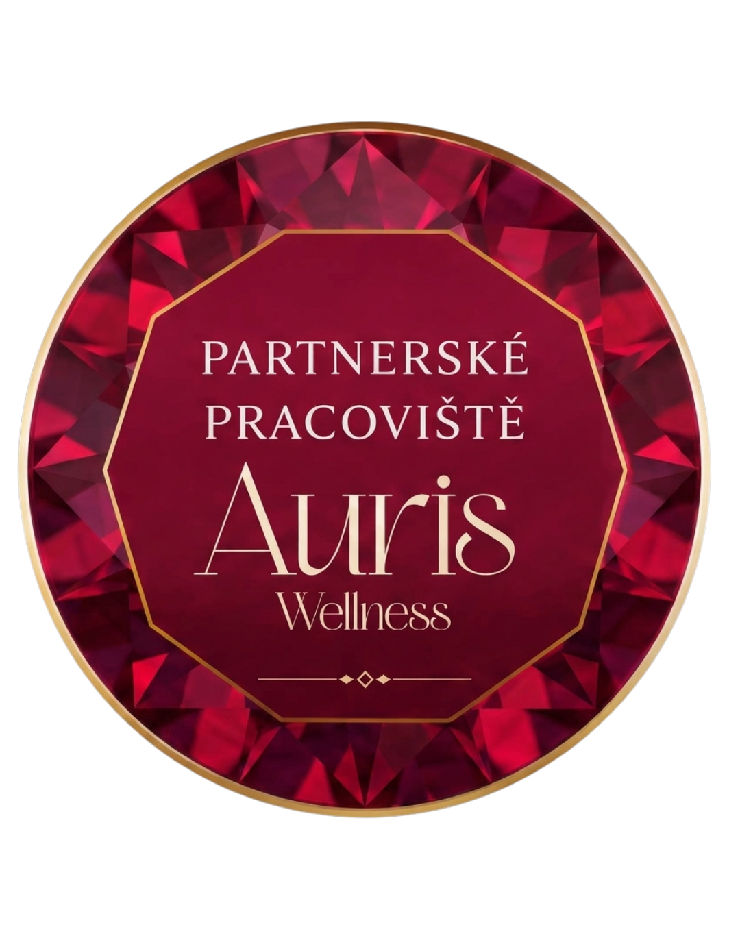 Partnerské pracoviště